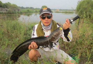 路亞釣黑魚用什么假餌？路亞釣黑魚用什么餌？