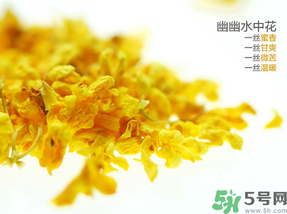 桂花可以泡水喝嗎？桂花怎么泡水？