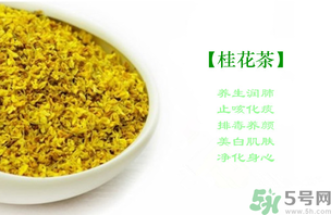 新鮮桂花怎么做茶？新鮮桂花怎么做桂花茶？