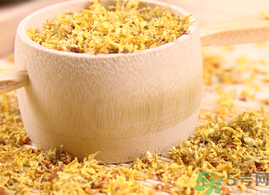 新鮮桂花能泡茶嗎？新鮮怎么處理泡茶？