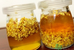 干桂花可以做桂花蜜嗎？干桂花怎么做桂花蜜？