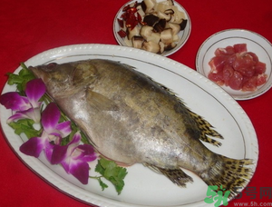 桂魚怎么保存？桂魚放冰箱怎么保存？