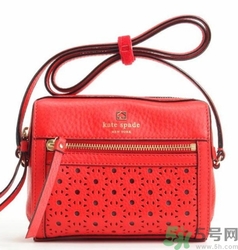 kate spade和coach哪個(gè)好？凱特絲蓓好還是蔻馳好？