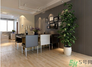 桂花樹可以種在室內(nèi)嗎？桂花樹適合在室內(nèi)嗎？