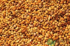 腰果可以補腎嗎?腰果補腎效果好嗎 腰果可以補腎嗎?腰果補腎效果好嗎