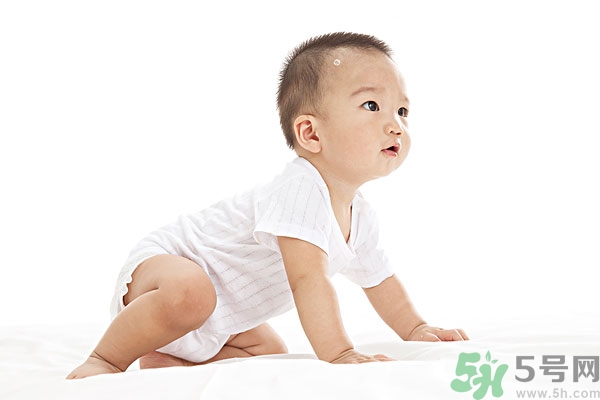 吃南瓜子可以打蟲嗎,南瓜子能打蛔蟲嗎？