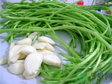 泥蒿的營養(yǎng)價值 泥蒿的功效與作用 泥蒿的營養(yǎng)價值 泥蒿的功效與作用