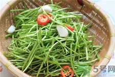 泥蒿的營養(yǎng)價值 泥蒿的功效與作用 泥蒿的營養(yǎng)價值 泥蒿的功效與作用