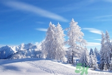 冬季養(yǎng)生吃什么最好？冬季養(yǎng)生吃三冬