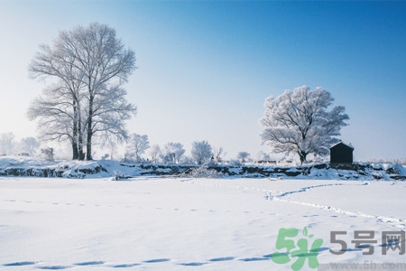 冬季養(yǎng)生吃什么最好？冬季養(yǎng)生吃三冬