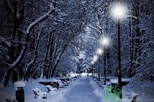 冬季養(yǎng)生吃什么最好？冬季養(yǎng)生吃三冬