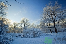 立冬能吃冬棗嗎？立冬吃冬棗有什么好處？