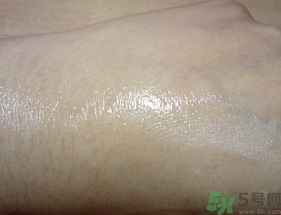 植物醫(yī)生山茶花乳液怎么樣?植物醫(yī)生山茶花乳液好用嗎?