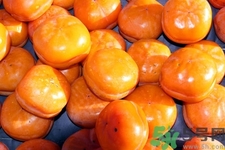 紅薯和柿子能一起吃嗎？紅薯和柿子為什么不能一起吃？