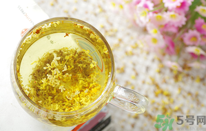 月經(jīng)期能喝桂花茶嗎？經(jīng)期能喝桂花茶嗎？