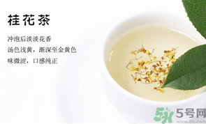 月經(jīng)期能喝桂花茶嗎？經(jīng)期能喝桂花茶嗎？