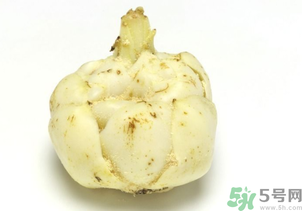 新鮮百合可以放冰箱嗎？鮮百合可以冷凍嗎？