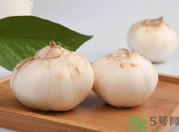 新鮮百合什么時(shí)候上市？鮮百合什么時(shí)候上市？