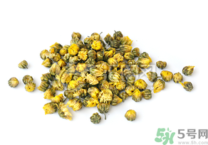 干菊花長蟲怎么辦？干菊花長蟲還能喝嗎？