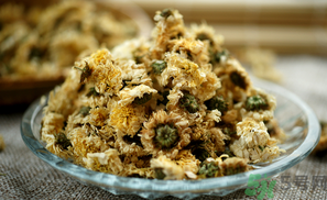 干菊花長蟲怎么辦？干菊花長蟲還能喝嗎？