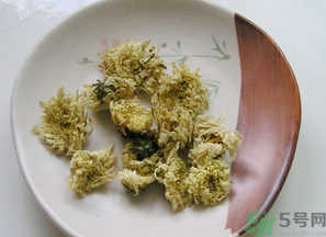 干菊花長蟲怎么辦？干菊花長蟲還能喝嗎？