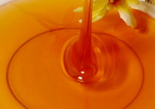 野生蜂蜜怎么提??？野生蜂蜜怎么過濾？