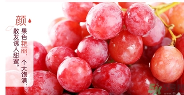 紅提的籽能吃嗎？紅提的籽怎么吃最好？