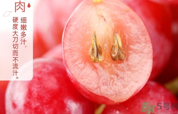 紅提的籽能吃嗎？紅提的籽怎么吃最好？