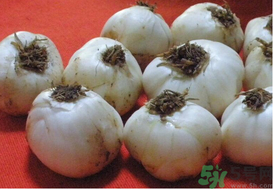 鮮百合變色了能吃嗎？鮮百合變紫色了能吃嗎？