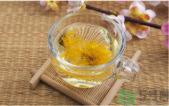 菊花茶可以天天喝嗎？菊花茶喝多了會(huì)怎么樣？