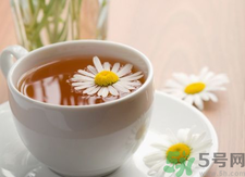 菊花茶可以天天喝嗎？菊花茶喝多了會(huì)怎么樣？