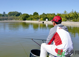 秋天釣魚用什么打窩？秋天釣鯉魚用什么打窩？