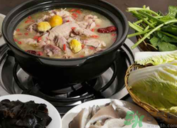 老母雞湯回奶嗎？吃老母雞會回奶嗎？