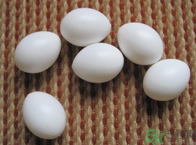 鴿子蛋多少錢(qián)一個(gè)？鴿子蛋多少錢(qián)一斤？?