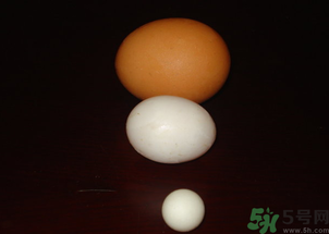 鴿子蛋多少錢(qián)一個(gè)？鴿子蛋多少錢(qián)一斤？?