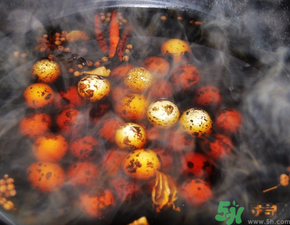 鵪鶉蛋煮多久能熟？鵪鶉蛋怎么煮？