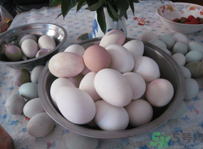 鴨蛋和雞蛋哪個營養(yǎng)價值高？鴨蛋和雞蛋的區(qū)別