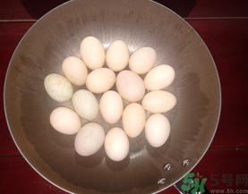 鴨蛋煮多久能熟？鴨蛋怎么煮？