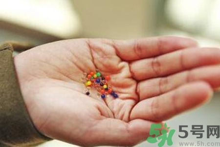 誤食水寶寶有毒嗎？誤食水寶寶后該怎么辦？