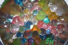 誤食水寶寶有毒嗎？誤食水寶寶后該怎么辦？