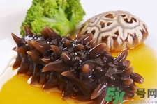 吃海參會上火嗎？經(jīng)常吃海參會上火嗎？