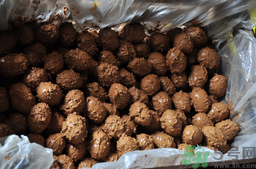 咸鴨蛋腌多久可以吃？咸鴨蛋怎么腌制好吃？