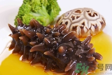 海參每天吃多少合適？海參一天吃多少比較好？