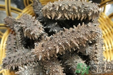 一天中海參什么時(shí)候吃最好？吃海參的最佳時(shí)間