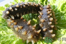 一天中海參什么時(shí)候吃最好？吃海參的最佳時(shí)間