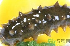 孕婦能吃海參嗎？孕婦吃海參的好處