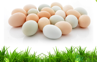 土雞蛋怎么辨別？怎么辨別土雞蛋的真假？