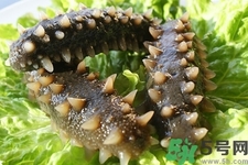 海參的簡(jiǎn)單家常做法有哪些？海參的不同吃法