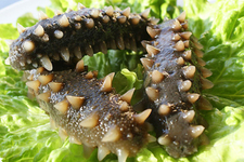 吃完海參能吃水果嗎？吃完海參后多久能吃水果？