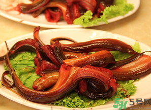 黃鱔的營(yíng)養(yǎng)價(jià)值 黃鱔的功效與作用